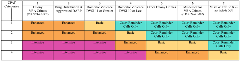 Figure 1. Sample Pretrial Decision-making Matrix