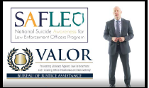 SAFLEO/VALOR image