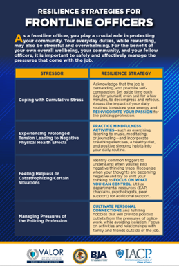 Resilience Strategies for Frontline Officers